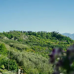  Maison d'hôtes Bujtina Anlu